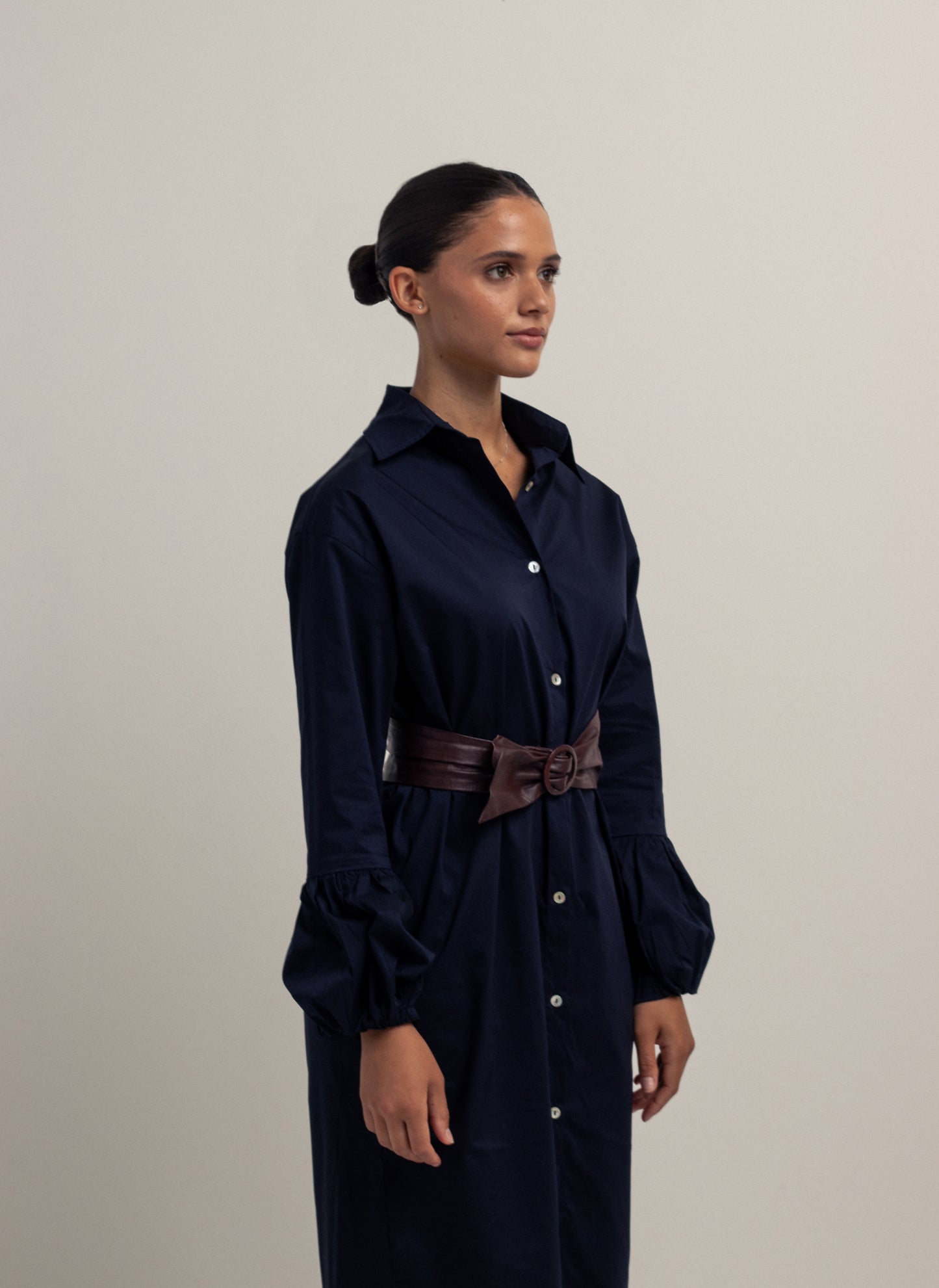 Bubble Sleeve Dress